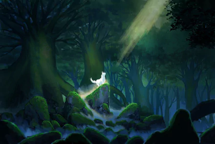 HD anime desktop wallpaper featuring a mystical glowing white wolf in a dark enchanted forest, inspired by Princess Mononoke.