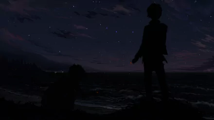 Anime boy standing by the seaside at night, with another figure sitting down, gazing at the starry sky. HD desktop wallpaper and background.