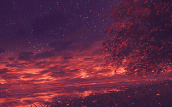 Artistic Sunset Sky Tree HD Wallpaper | Background Image