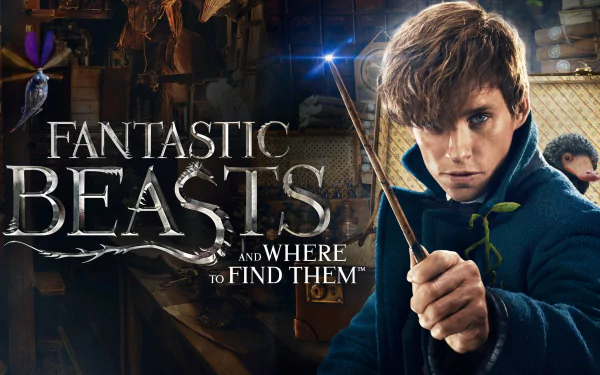 Newt Scamander movie Fantastic Beasts and Where to Find Them HD Desktop Wallpaper | Background Image