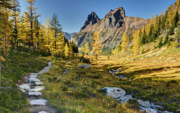 yoho national park path Canada nature mountain HD Desktop Wallpaper | Background Image