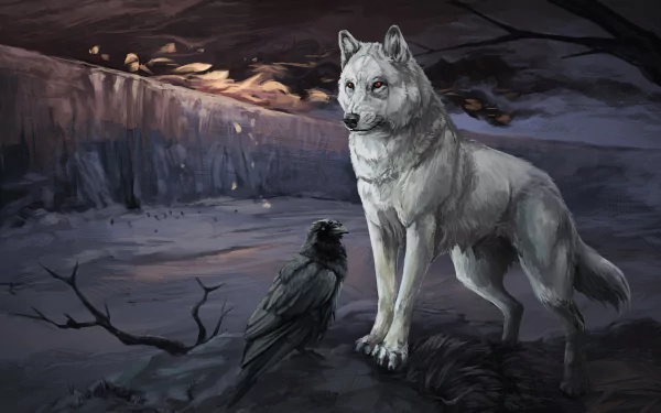 2K Quad HD PC desktop wallpaper/background — fantasy scene of a white wolf standing on a rocky ledge beside a black crow under a moonlit, misty sky.