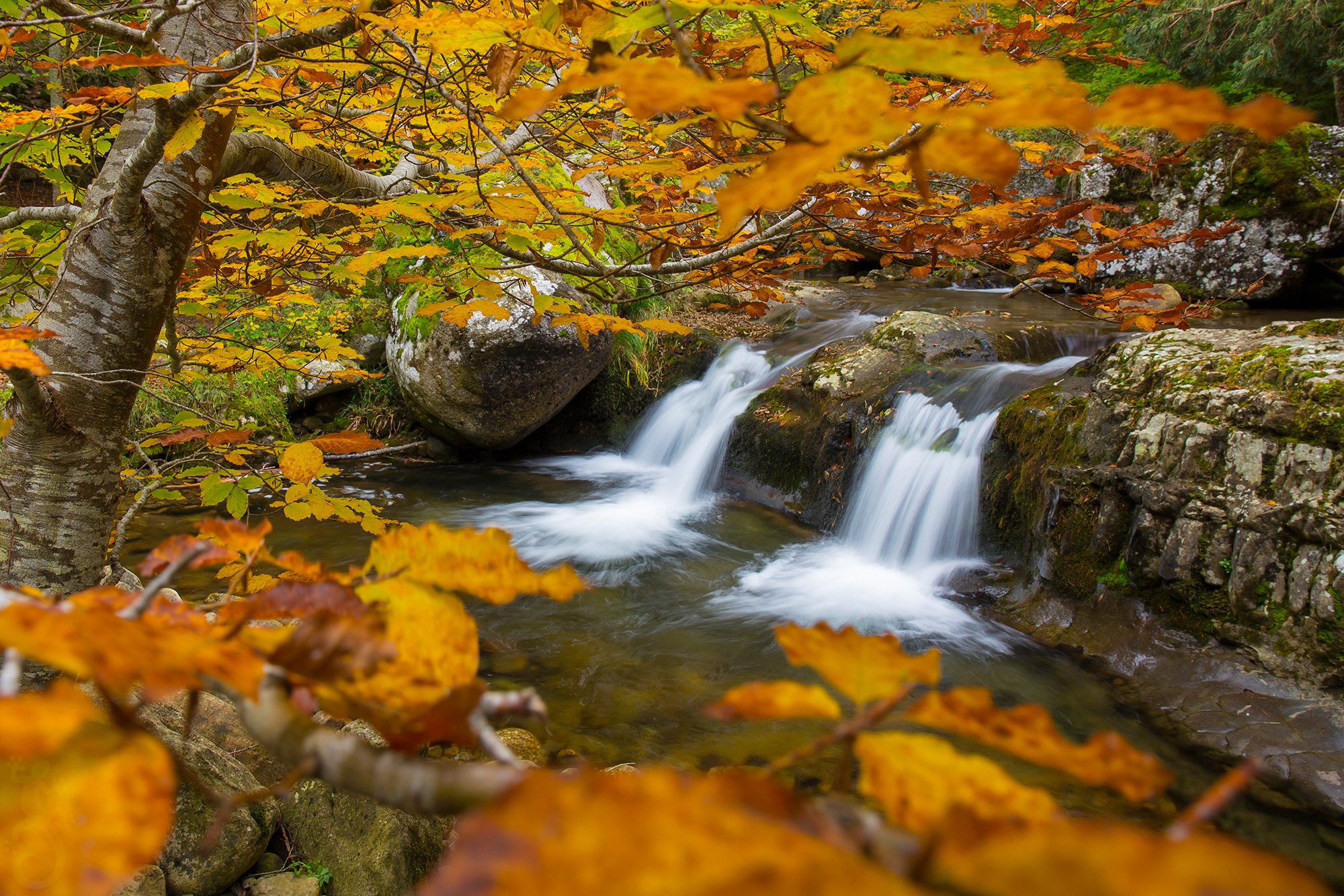 Nature Waterfall Hd Wallpaper