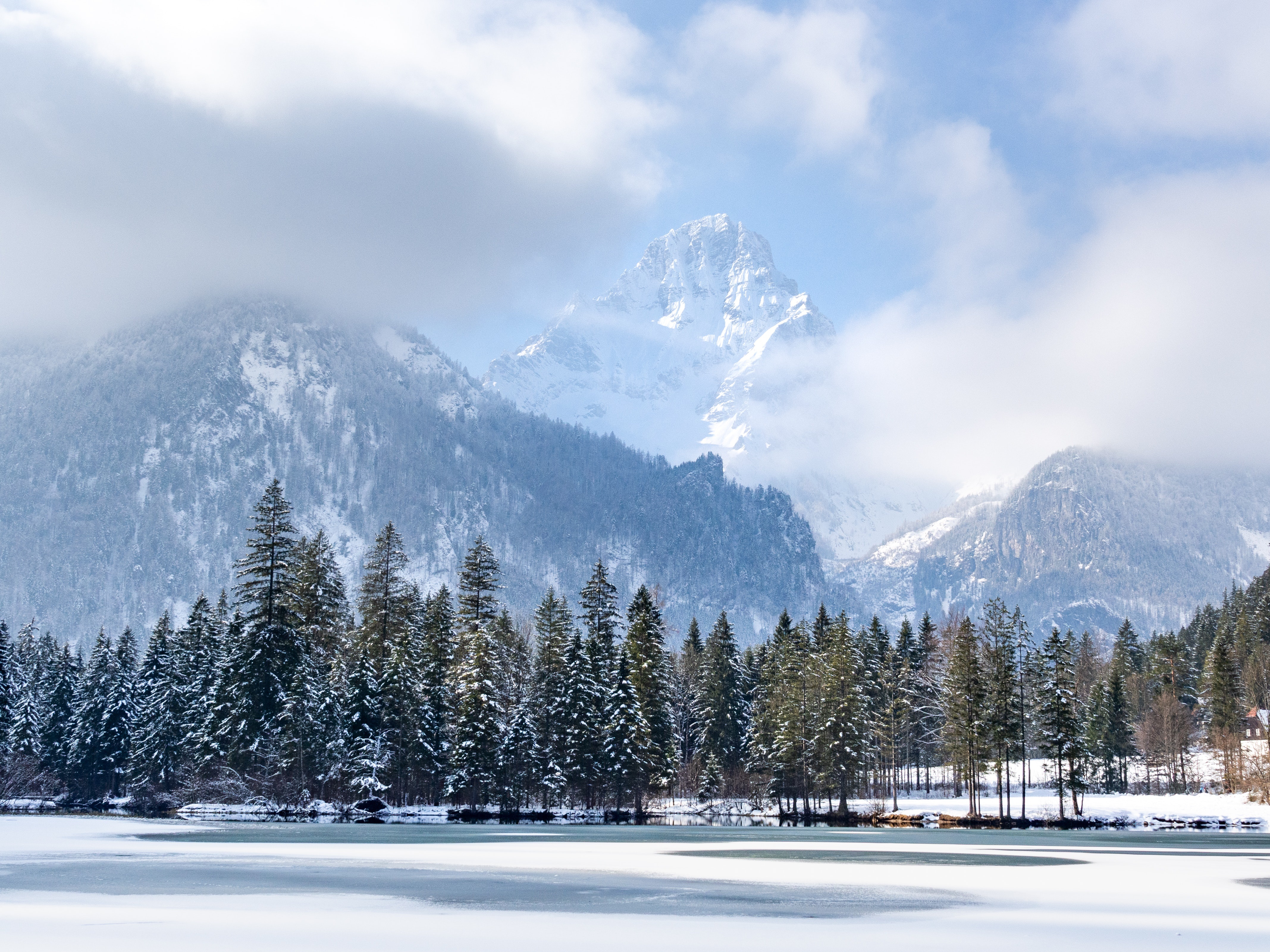 Download Mountain Snow Cloud Forest Nature Winter 4k Ultra HD Wallpaper