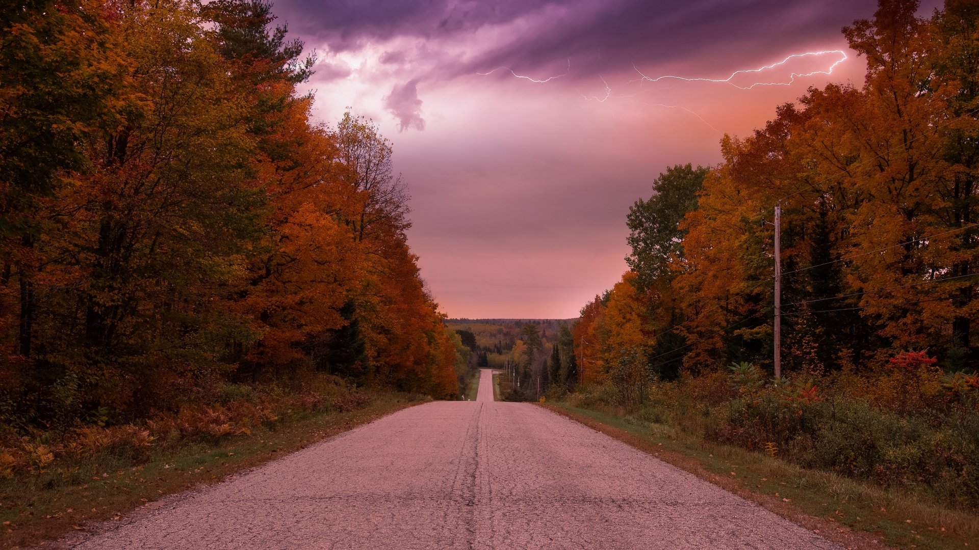 Download Nature Fall Man Made Road 4k Ultra HD Wallpaper