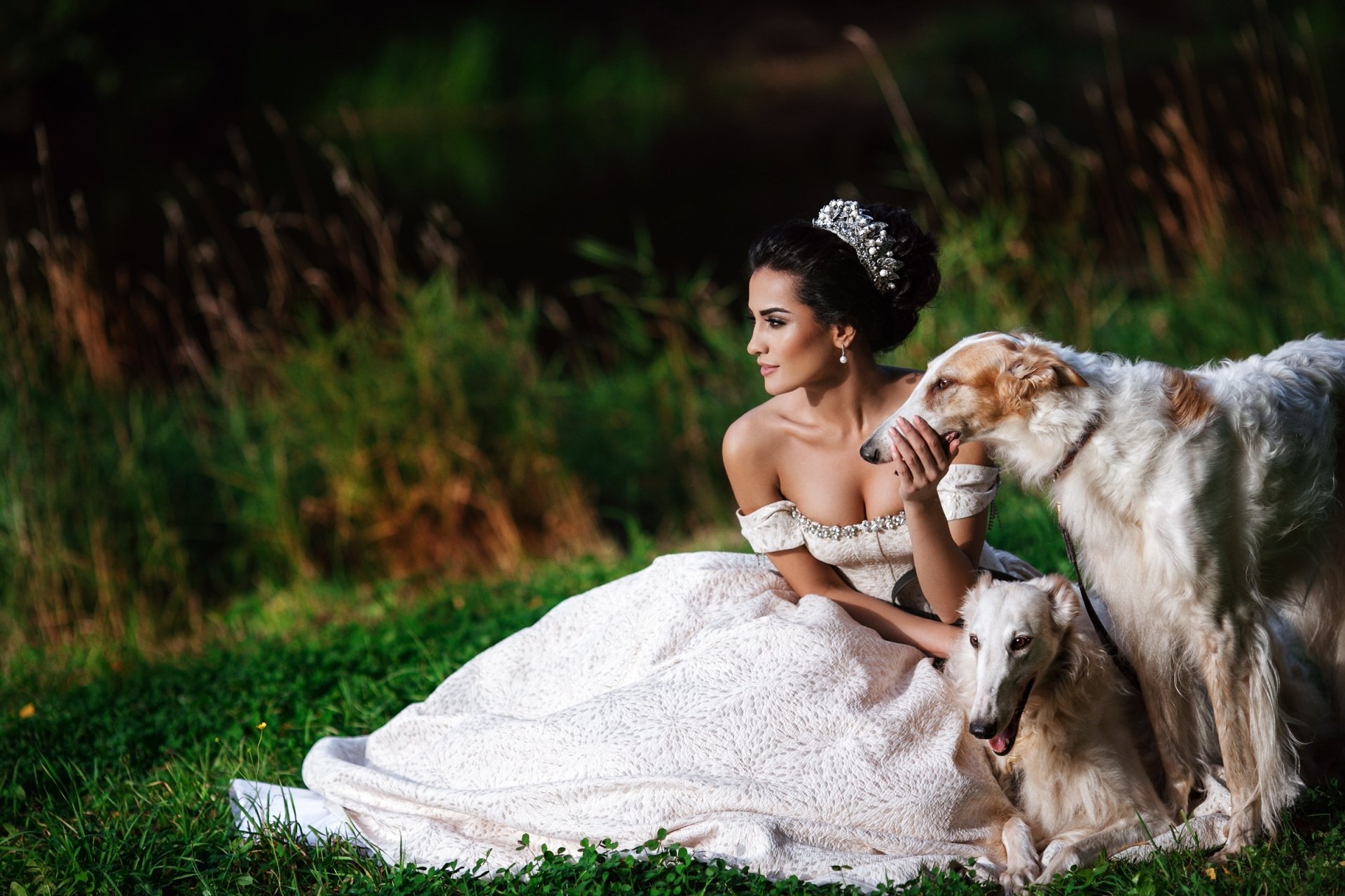 Download Model Brunette Dress Nature Dog Woman Mood HD Wallpaper by Aleksandra Aksentieva