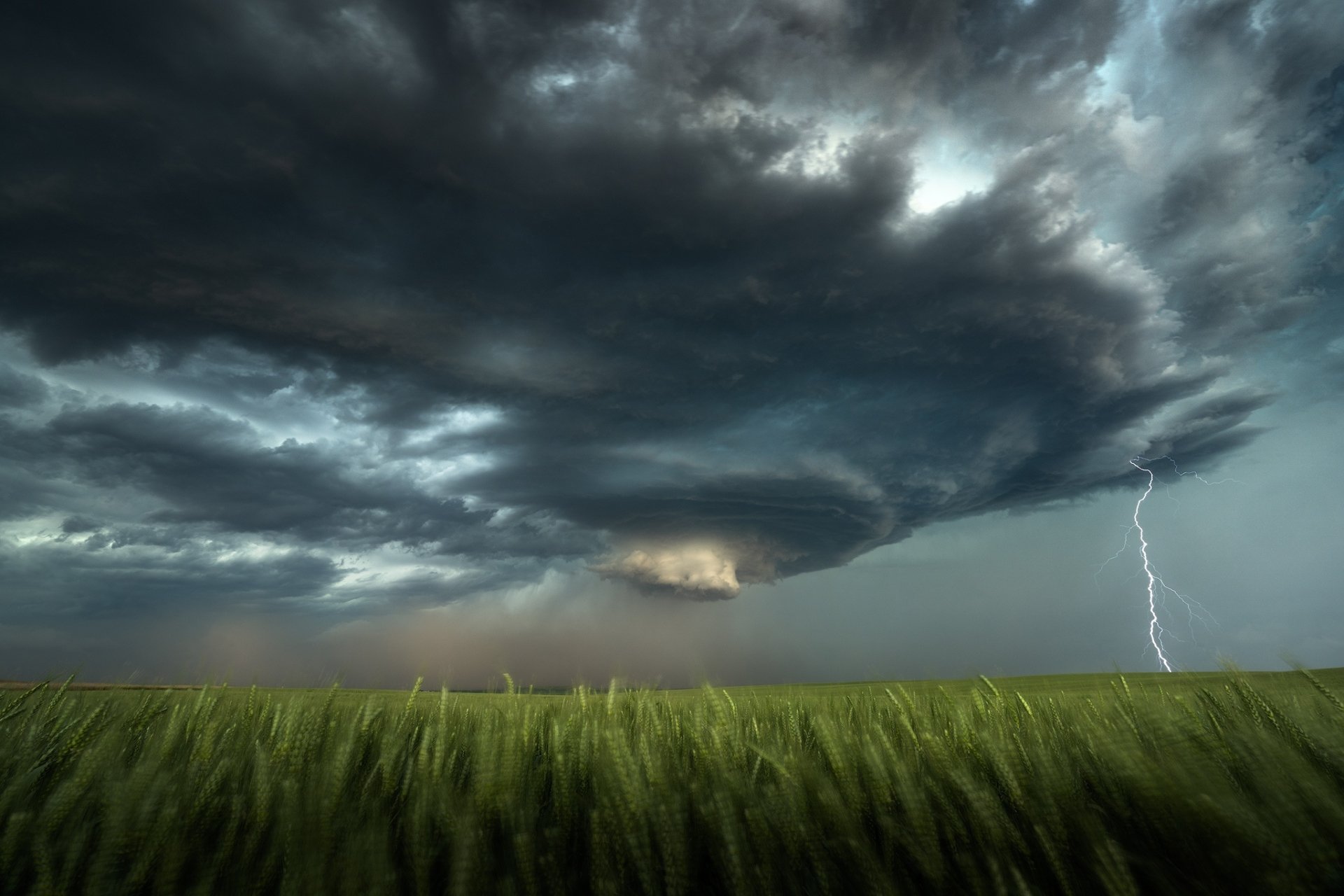 Download Lightning Cloud Field Nature Storm HD Wallpaper