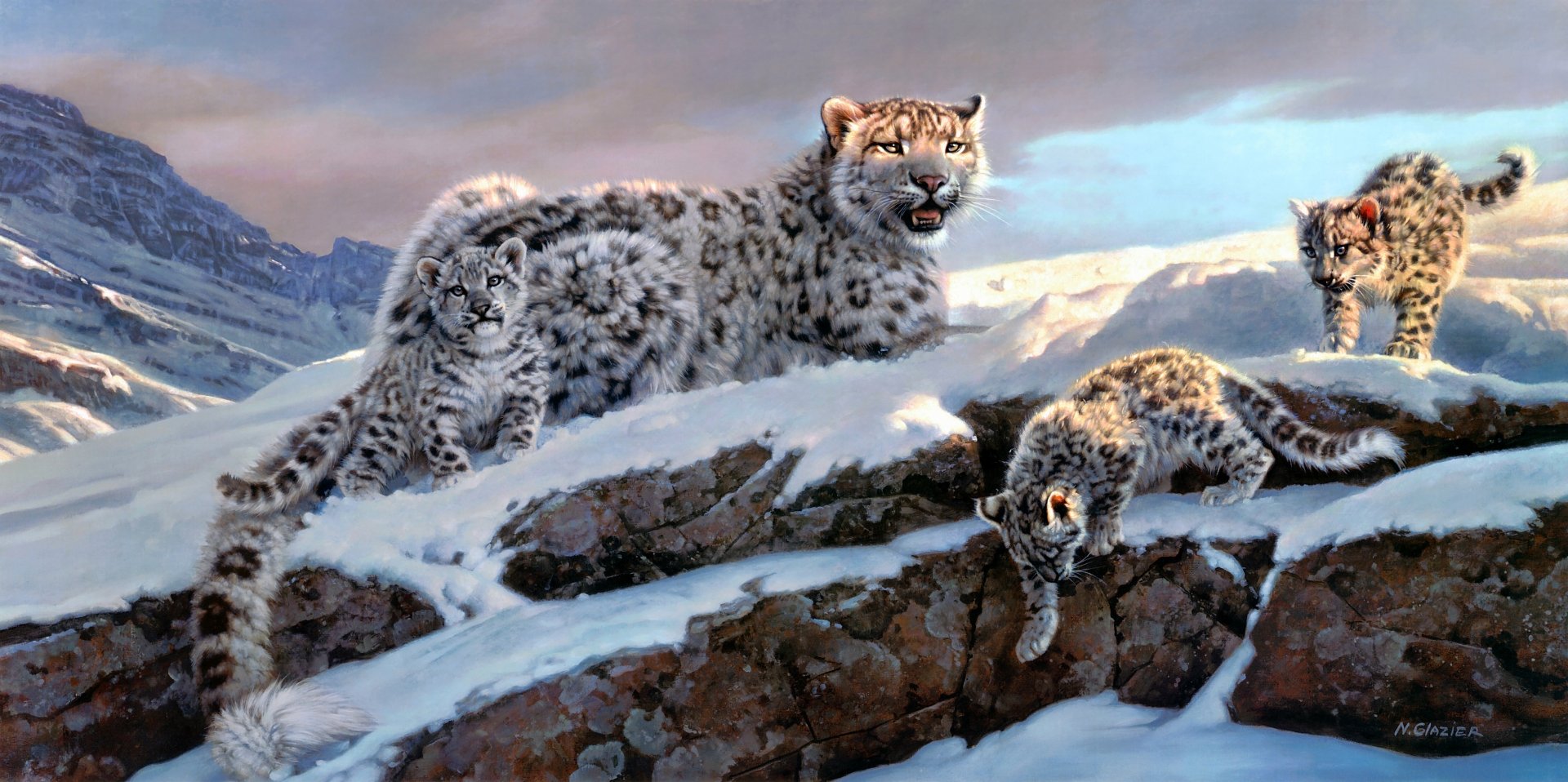Download Winter Animal Snow Leopard 4k Ultra HD Wallpaper by Nancy Glazier