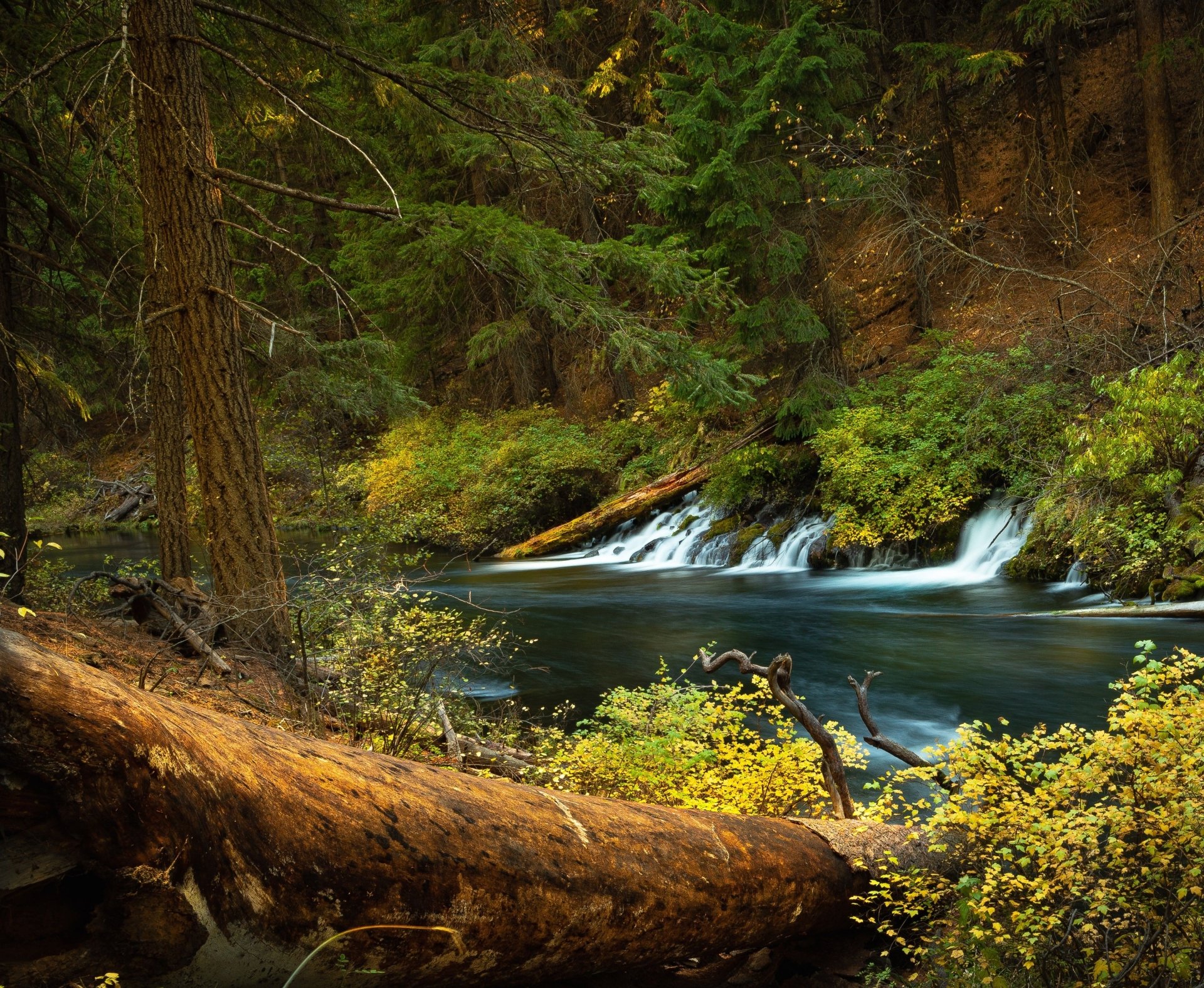 Download Oregon River Forest Nature Waterfall HD Wallpaper