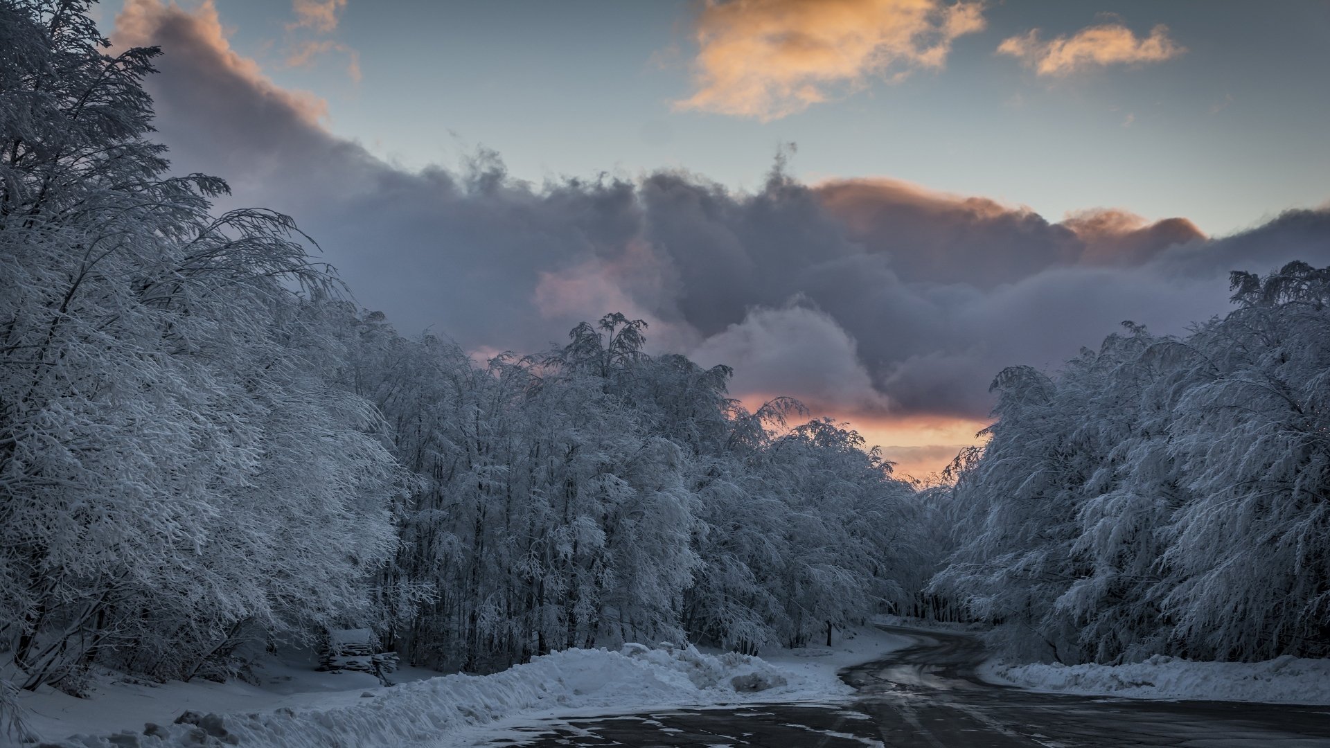 Download Winter Nature Cloud Forest Man Made Road 4k Ultra HD Wallpaper ...
