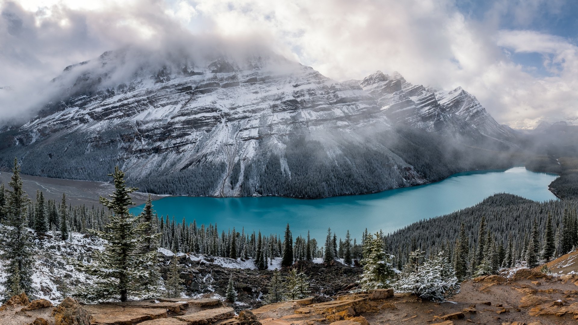 Snow-covered fir trees overlook the turquoise waters of Peyto Lake, framed by rugged snowy mountains under a dramatic cloudy sky in this 4K Ultra HD nature wallpaper.