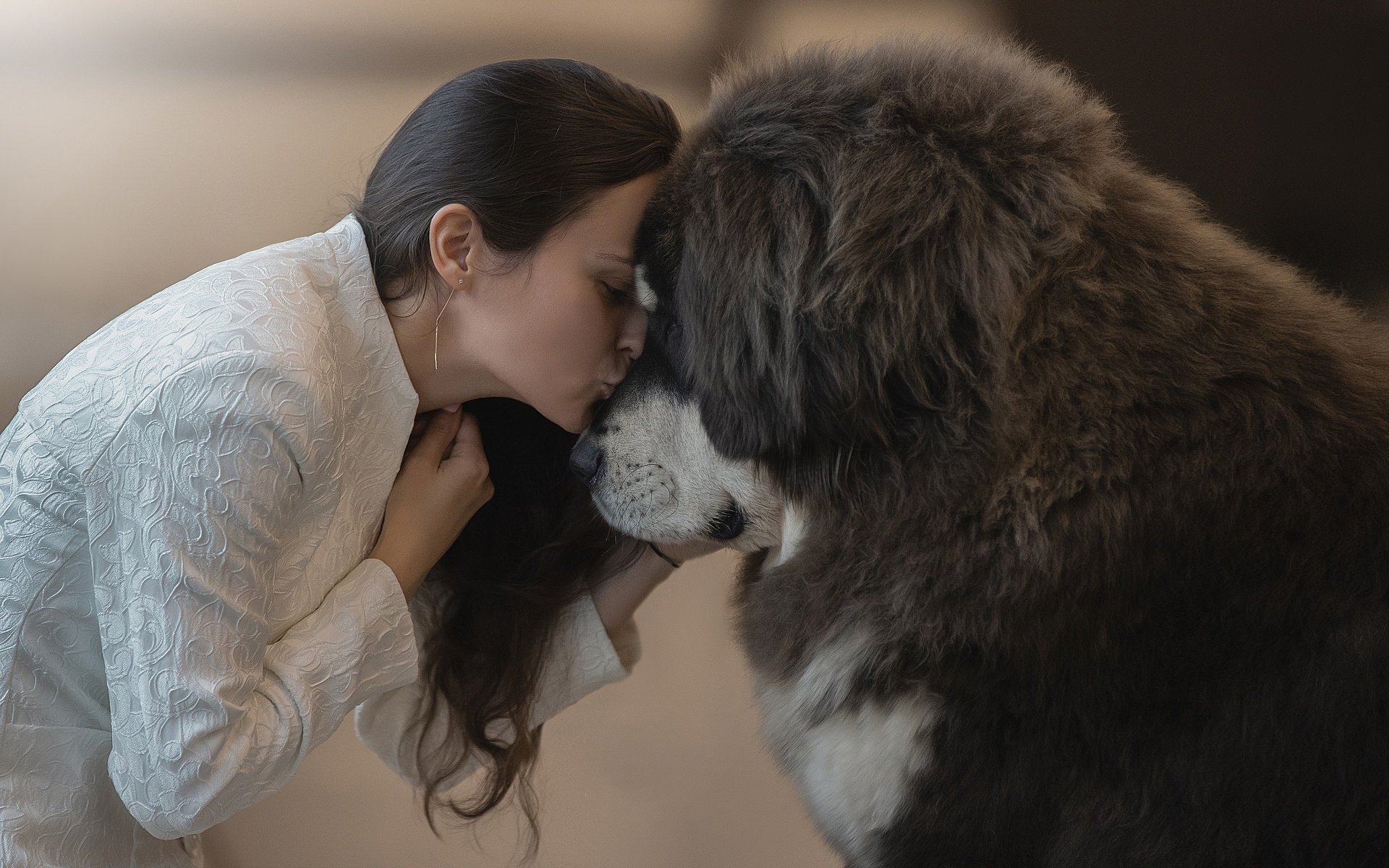 A woman shares a tender kiss with a large Tibetan Mastiff, capturing a warm and affectionate mood in this HD desktop wallpaper.