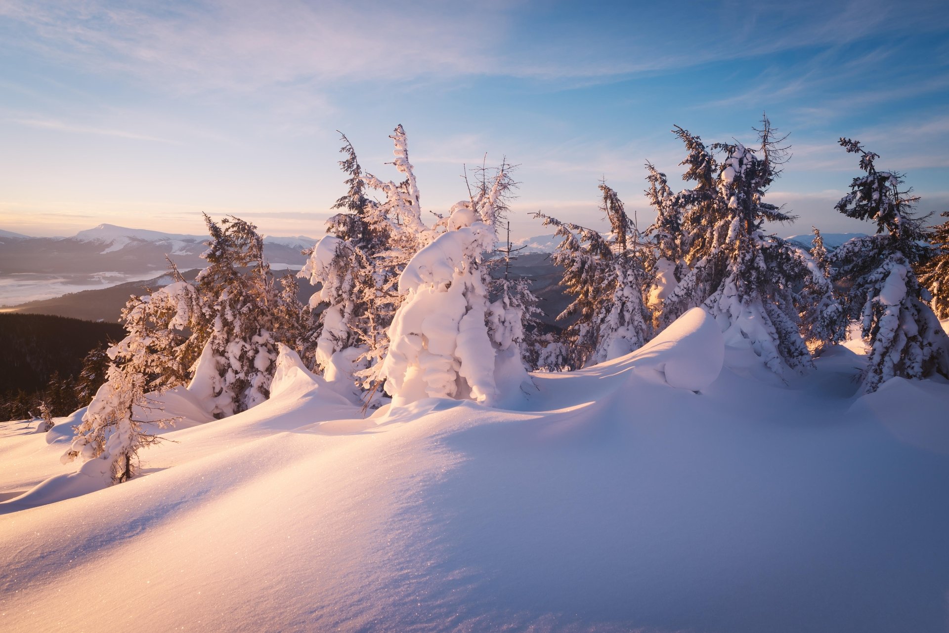 4K Ultra HD PC desktop wallpaper showing snow-covered spruce on a winter ridge at sunrise, pink-hued light across pristine drifts and a wide, peaceful natural panorama.