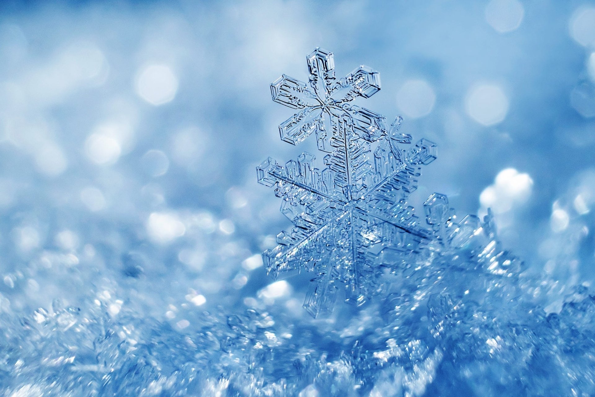 Download Macro Artistic Snowflake HD Wallpaper | 2000x1334 | Wallpaper ...