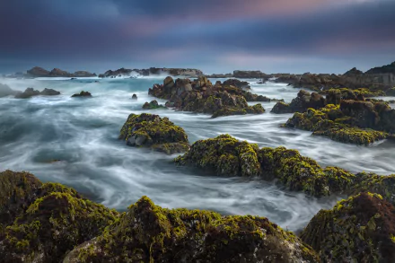 coast ocean pacific ocean monterey bay California nature coastline HD Desktop Wallpaper | Background Image