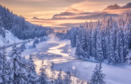 canadian rockies banff national park Alberta Canada river mountain forest nature winter HD Desktop Wallpaper | Background Image