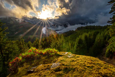 5K Ultra HD PC desktop wallpaper: sunbeam piercing clouds over the Cascade Range, misty forested valleys and mossy foreground in a dramatic nature landscape.
