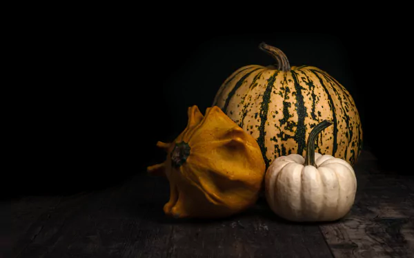 food pumpkin HD Desktop Wallpaper | Background Image