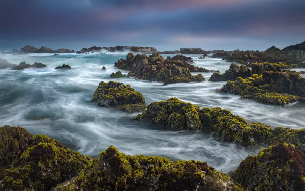 coast ocean pacific ocean monterey bay California nature coastline HD Desktop Wallpaper | Background Image
