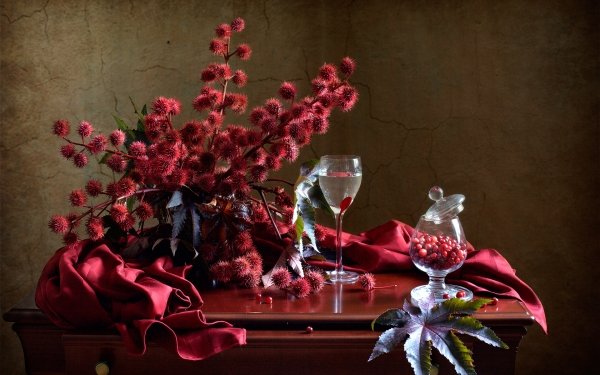 Photography Still Life Berry Glass Table Cranberry Bouquet HD Wallpaper | Background Image