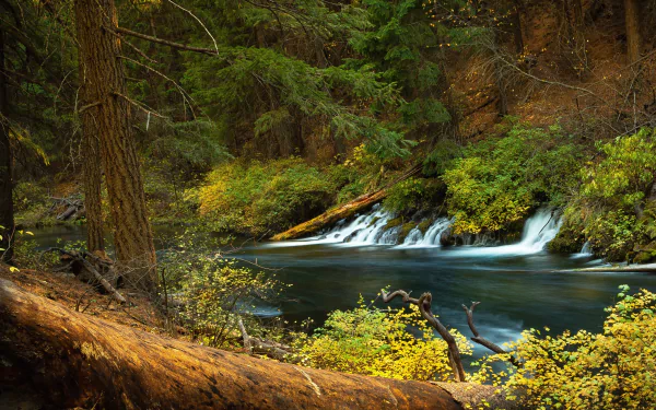 Oregon river forest nature waterfall HD Desktop Wallpaper | Background Image