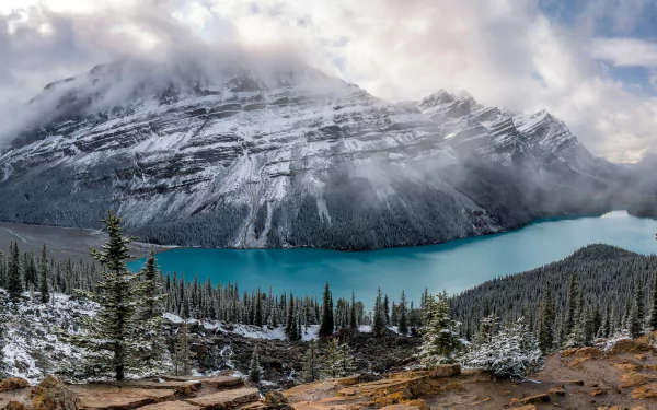 snow fir tree lake nature mountain peyto lake HD Desktop Wallpaper | Background Image