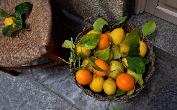 Food Fruit Fruits orange Lemon HD Wallpaper | Background Image