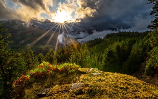 Earth Sunbeam Landscape Nature Forest Cascade Range Cloud HD Wallpaper | Background Image