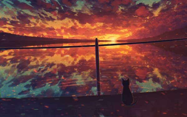 Anime Sunset Cat HD Wallpaper | Background Image
