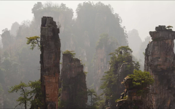 mountain nature China Zhangjiajie National Forest Park HD Desktop Wallpaper | Background Image