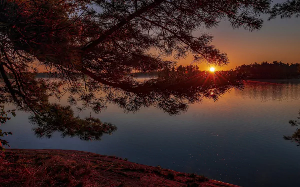 pine tree twilight evening lake branch nature sunset HD Desktop Wallpaper | Background Image