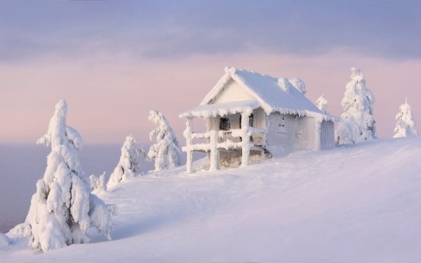 Photography Winter Snow Nature Hut Fir Tree HD Wallpaper | Background Image