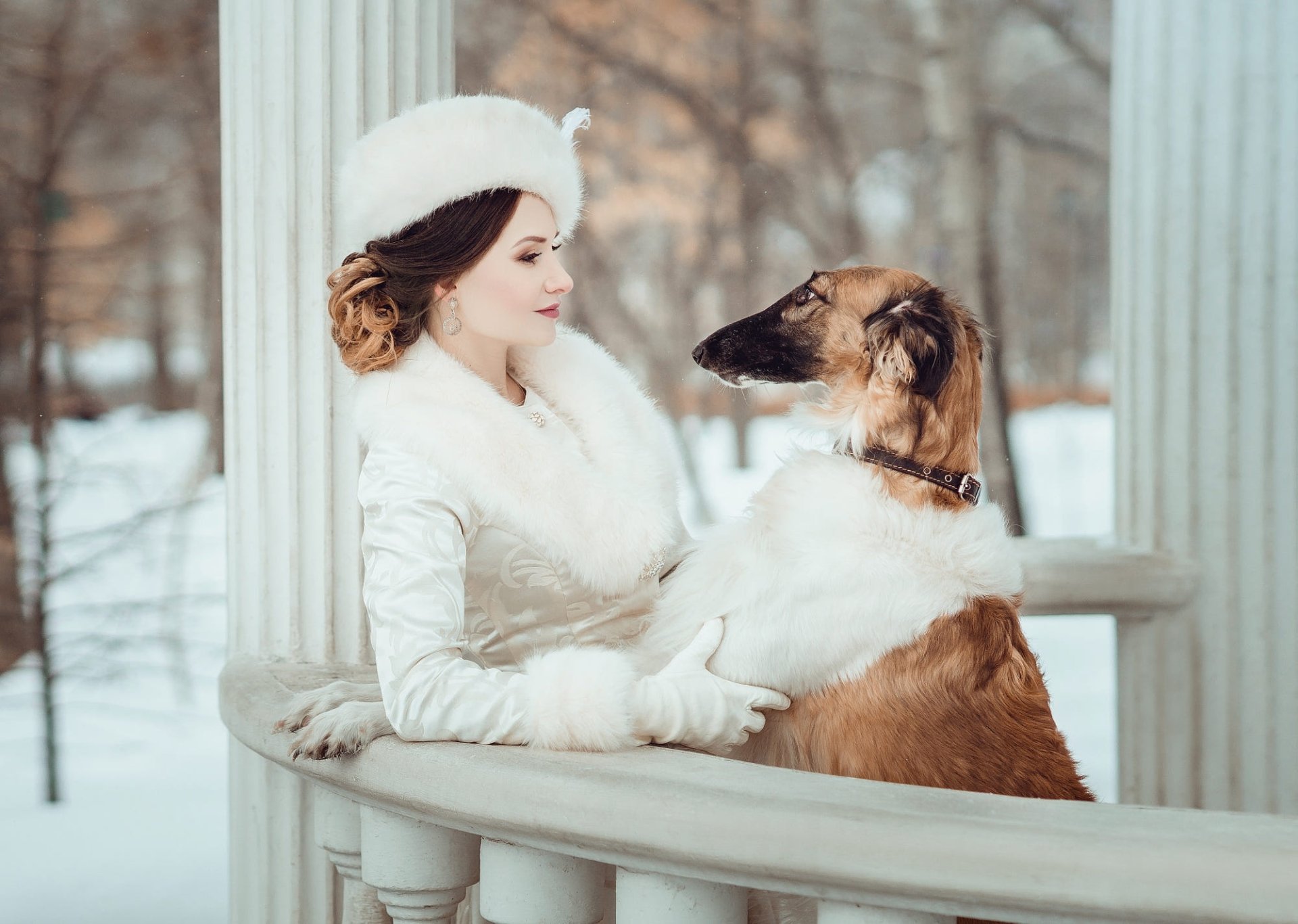 Download Greyhound Coat Gazebo Fur Dog Winter Woman Model HD Wallpaper