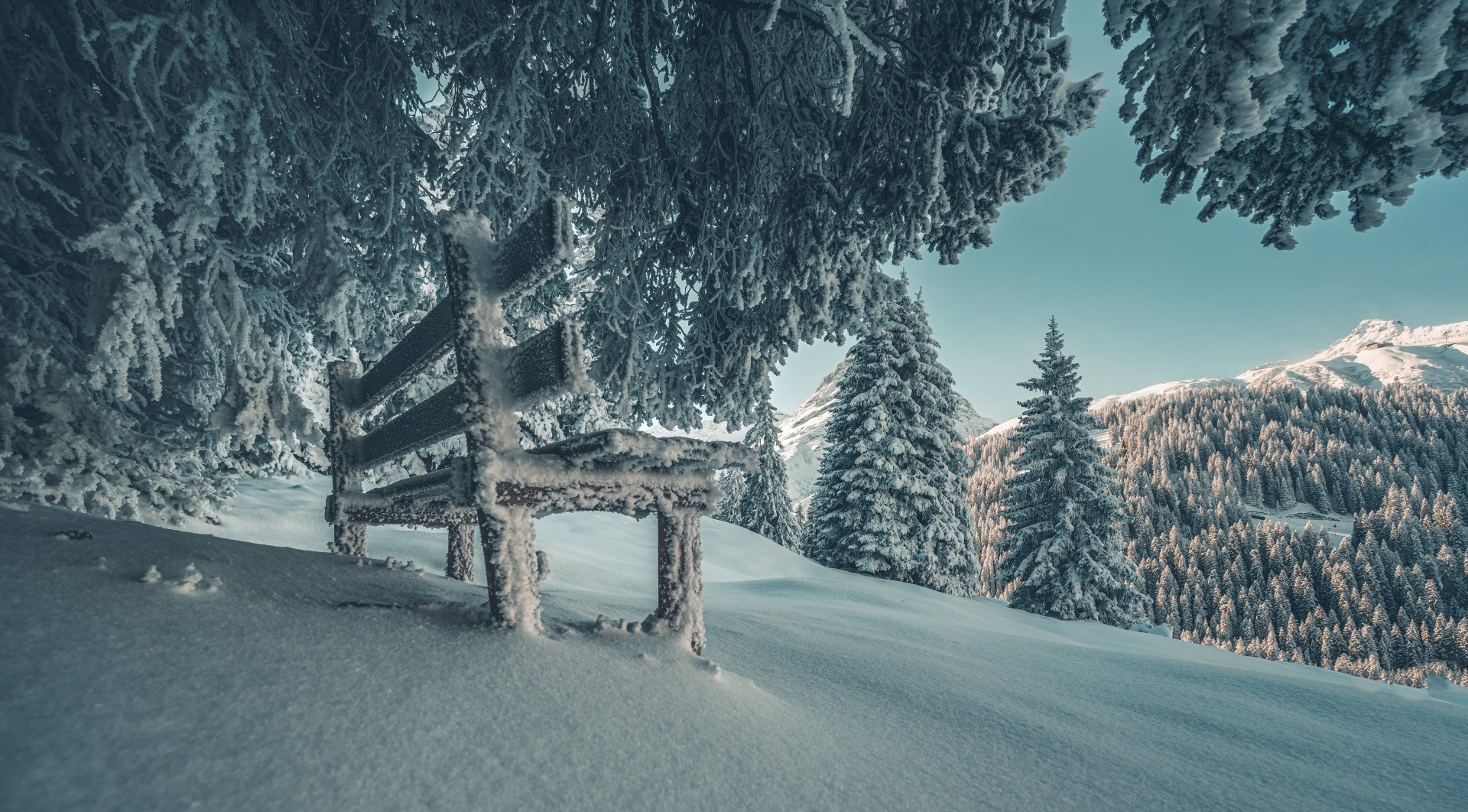 Snow-covered bench beneath frosted trees in a serene winter landscape, captured in stunning 8K Ultra HD for a crisp, nature-inspired PC desktop wallpaper.