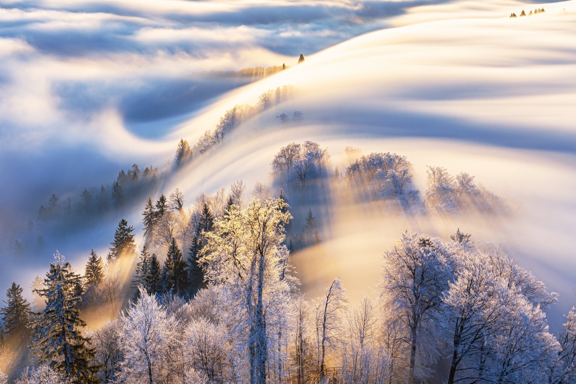 Download Nature Morning Winter Fog 4k Ultra HD Wallpaper