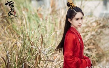 310 陈情令高清壁纸 桌面背景