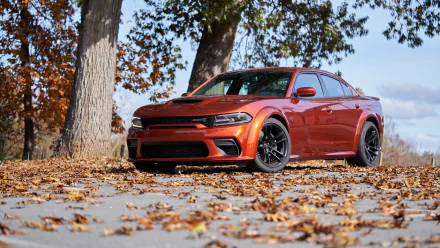 muscle car car Dodge Charger Dodge vehicle Dodge Charger SRT HD Desktop Wallpaper | Background Image
