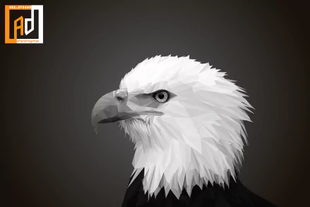  Eagle Lowpoly Illustration