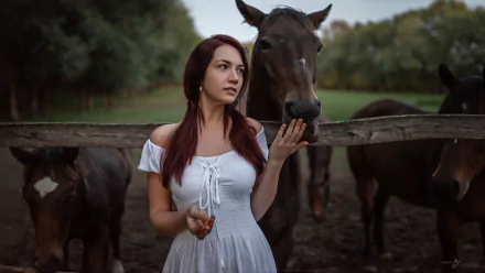 horse white dress woman model HD Desktop Wallpaper | Background Image