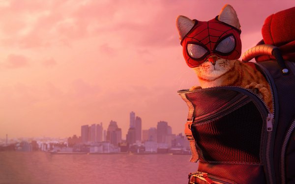 Video Game Marvel's Spider-Man: Miles Morales Cat HD Wallpaper | Background Image