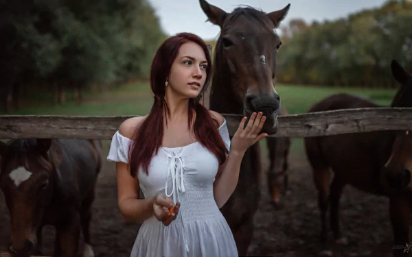 horse white dress woman model HD Desktop Wallpaper | Background Image