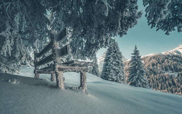 Snow-covered bench beneath frosted trees in a serene winter landscape, captured in stunning 8K Ultra HD for a crisp, nature-inspired PC desktop wallpaper.