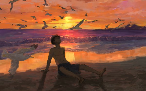 Anime Boy Sunset Landscape Bird Sea Beach HD Wallpaper | Background Image