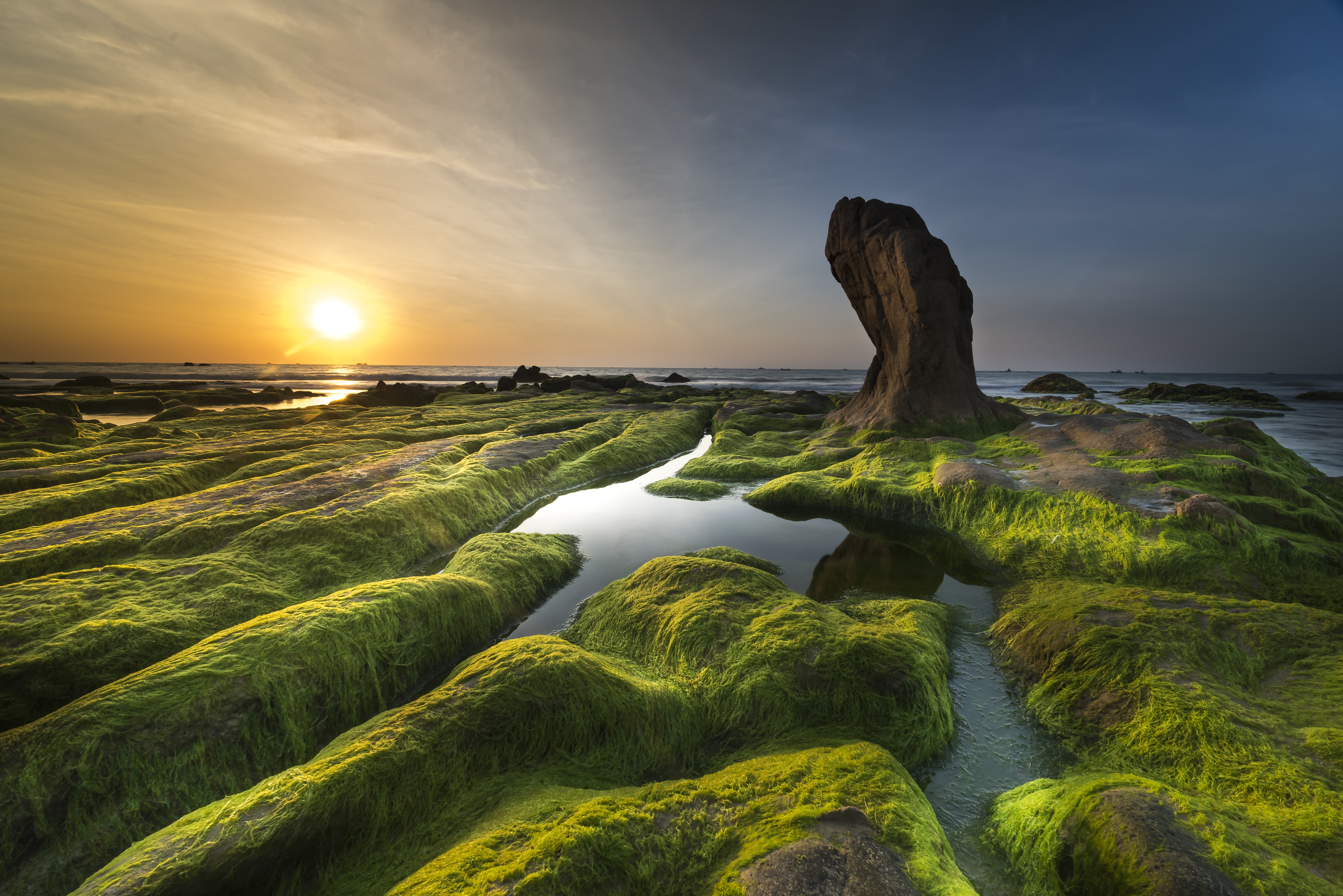 Algae-Covered Rocks by Quang Nguyen vinh
