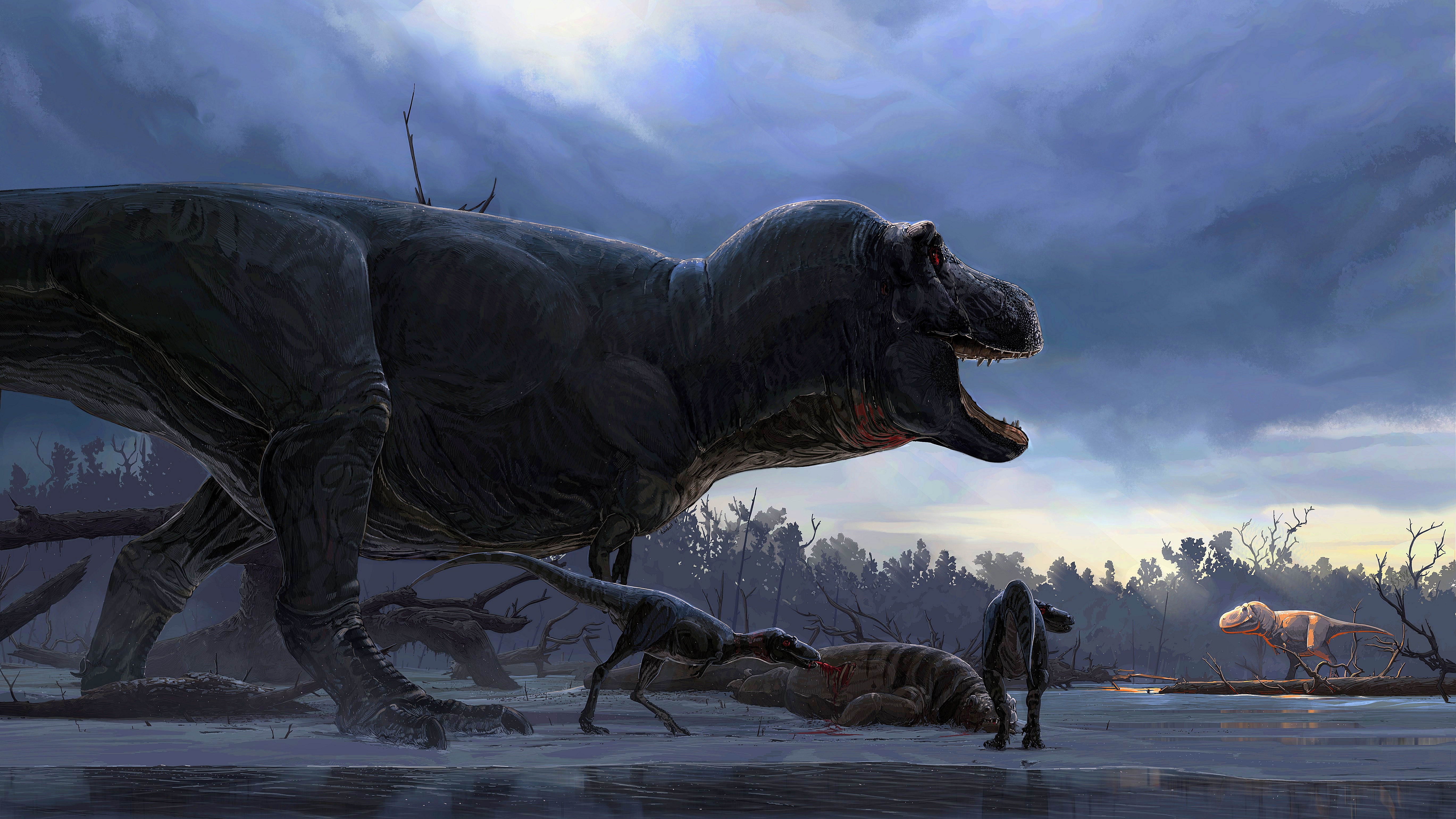 Animal Tyrannosaurus Rex HD Wallpaper | Background Image