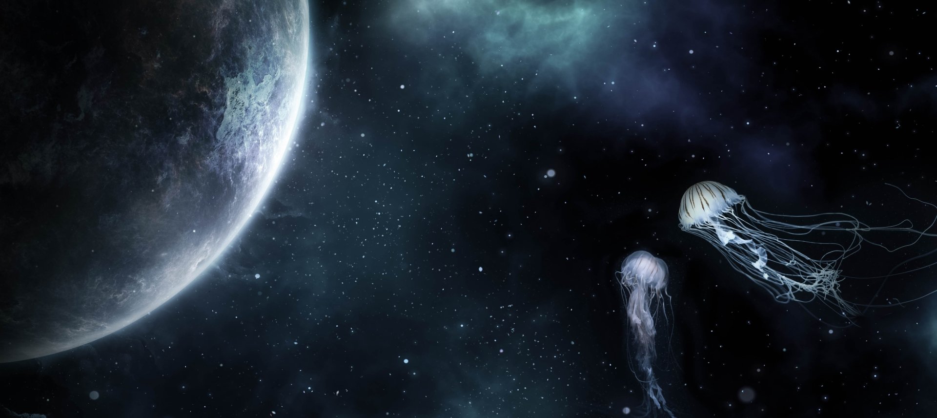 Download Jellyfish Sci Fi Space 4k Ultra HD Wallpaper by