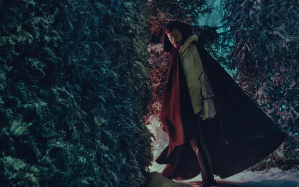 Celebrity Jamie Dornan HD Desktop Wallpaper | Background Image