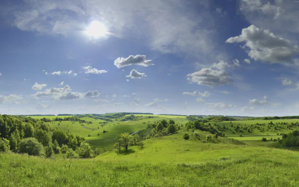 grassland nature landscape HD Desktop Wallpaper | Background Image