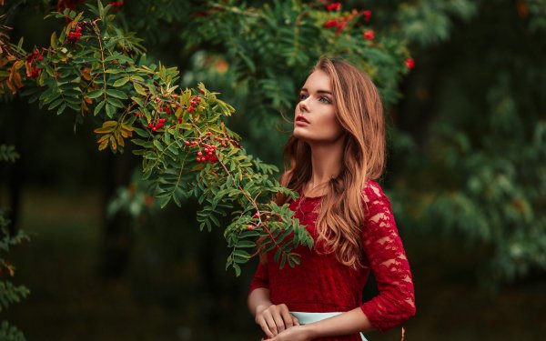 Women Model Red Dress Redhead Depth Of Field Green Eyes HD Wallpaper | Background Image
