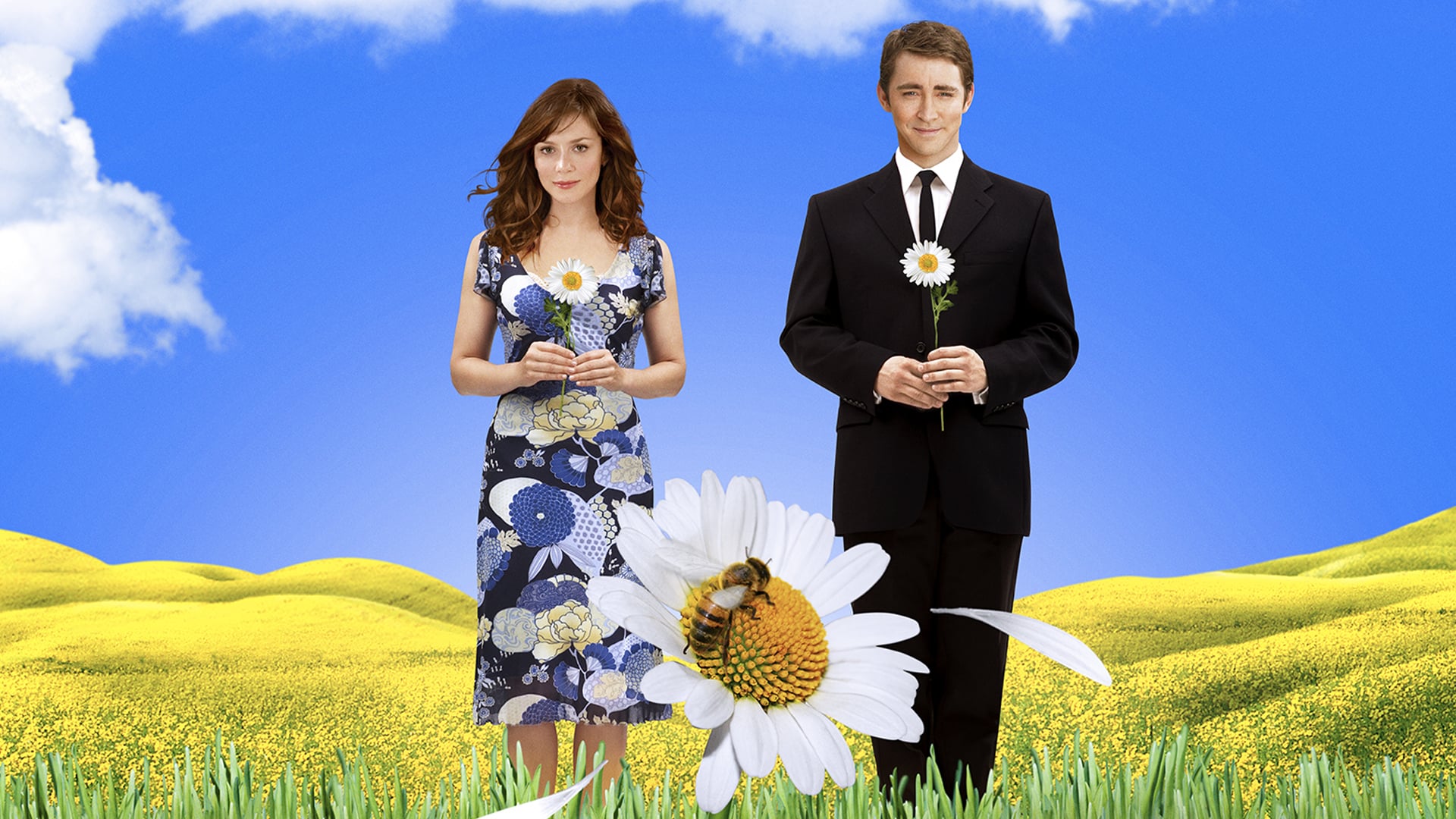 TV Show Pushing Daisies HD Wallpaper | Background Image